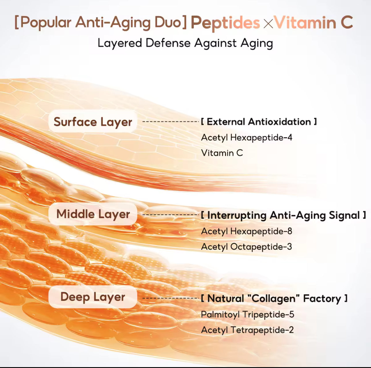 PAPA FEEL Ultra 5A Retinol Anti-Aging Moisturizer 50g | Fading Fine Lines | Tightens skin