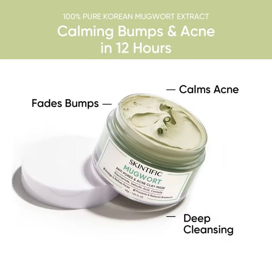 SKINTIFIC Mugwort Anti-Pores & Acne Clay Mask |55g