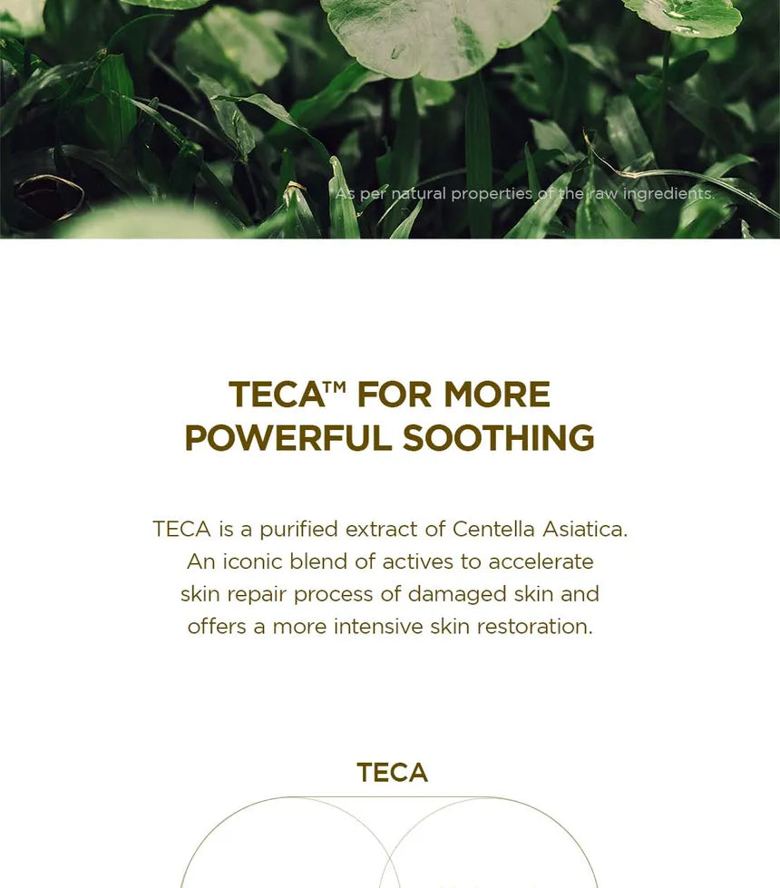 Centella Madagascar Cream 75ml - SKIN004