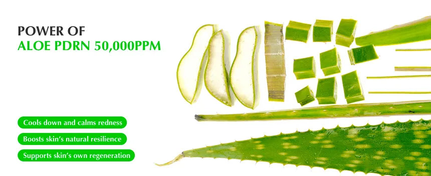 EQQUALBERRY - Aloe PDRN Calming Serum 30ml