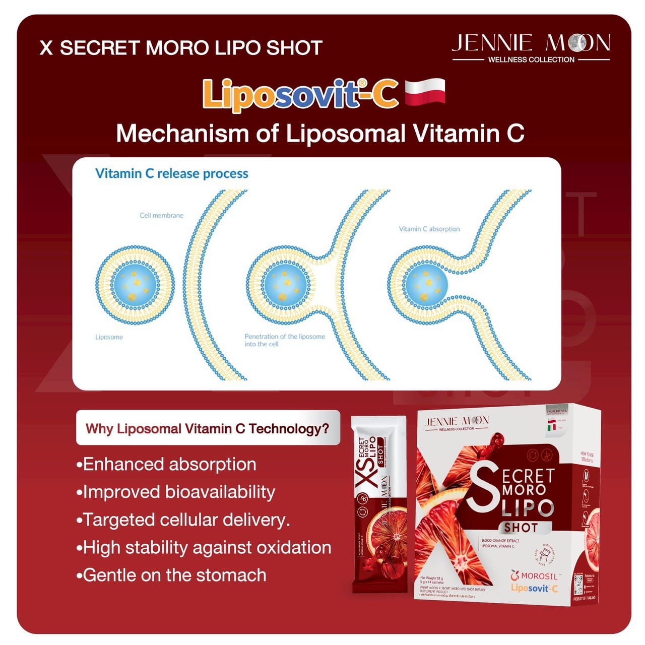 Jennie Moon Secret Moro Lipo Shot XS
