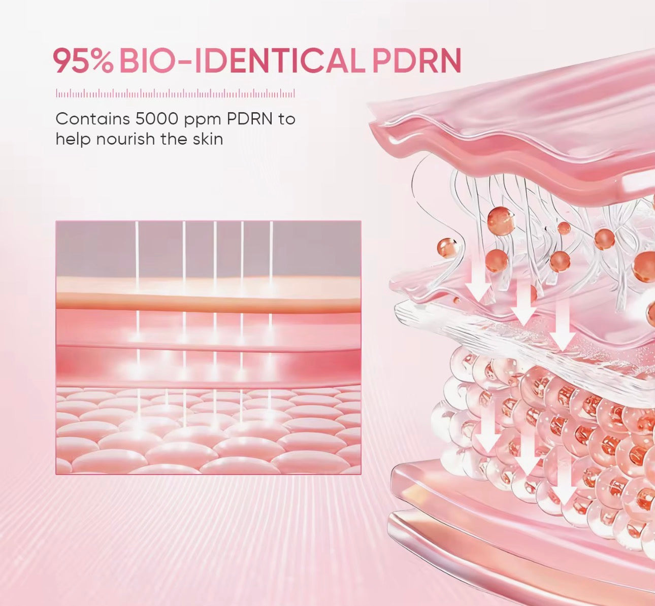 SKINTIFIC PDRN Bright & Smooth Moisture Gel | 30g