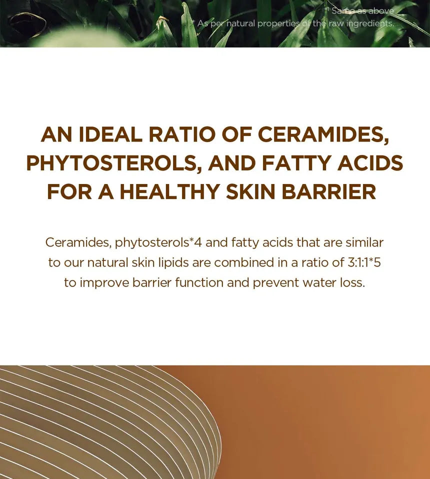 Centella  Madagascar Probio-Cica Intensive Ampoule - SKIN1004 50ml