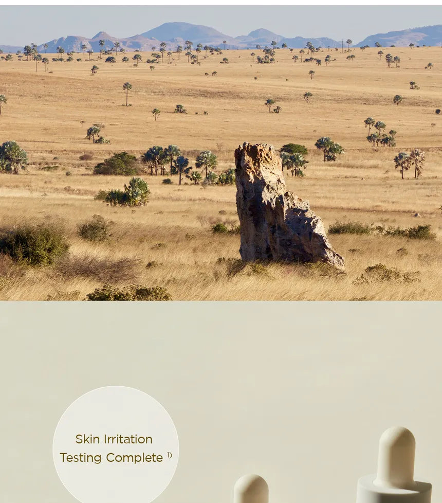 Centella Madagascar Asiatica 100ml Ampoule - SKIN004