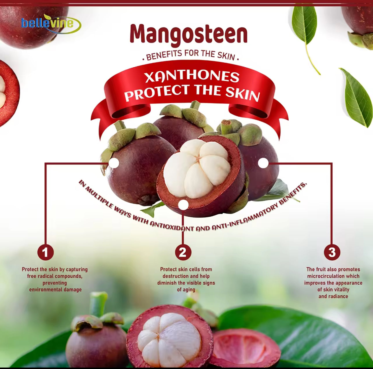 Bellevine Mangosteen Food Supplement 100 Capsules