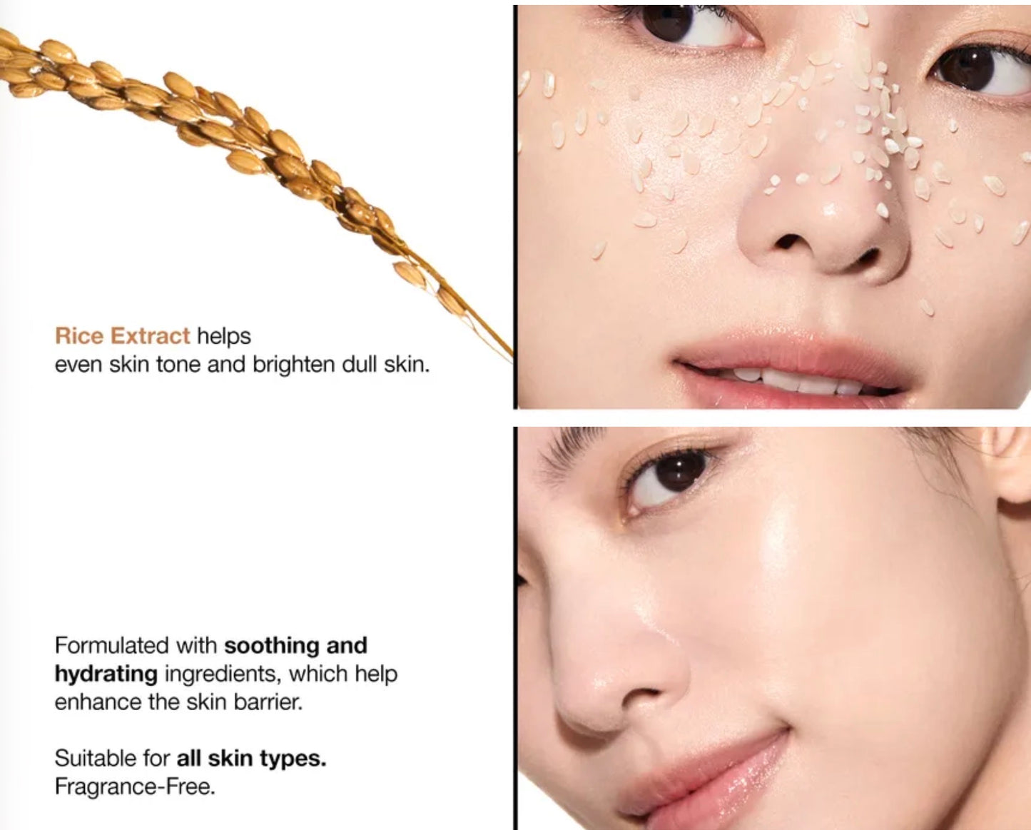 Anua Rice + Ceramide Enzyme Brightening Cleansing Powder | 40g