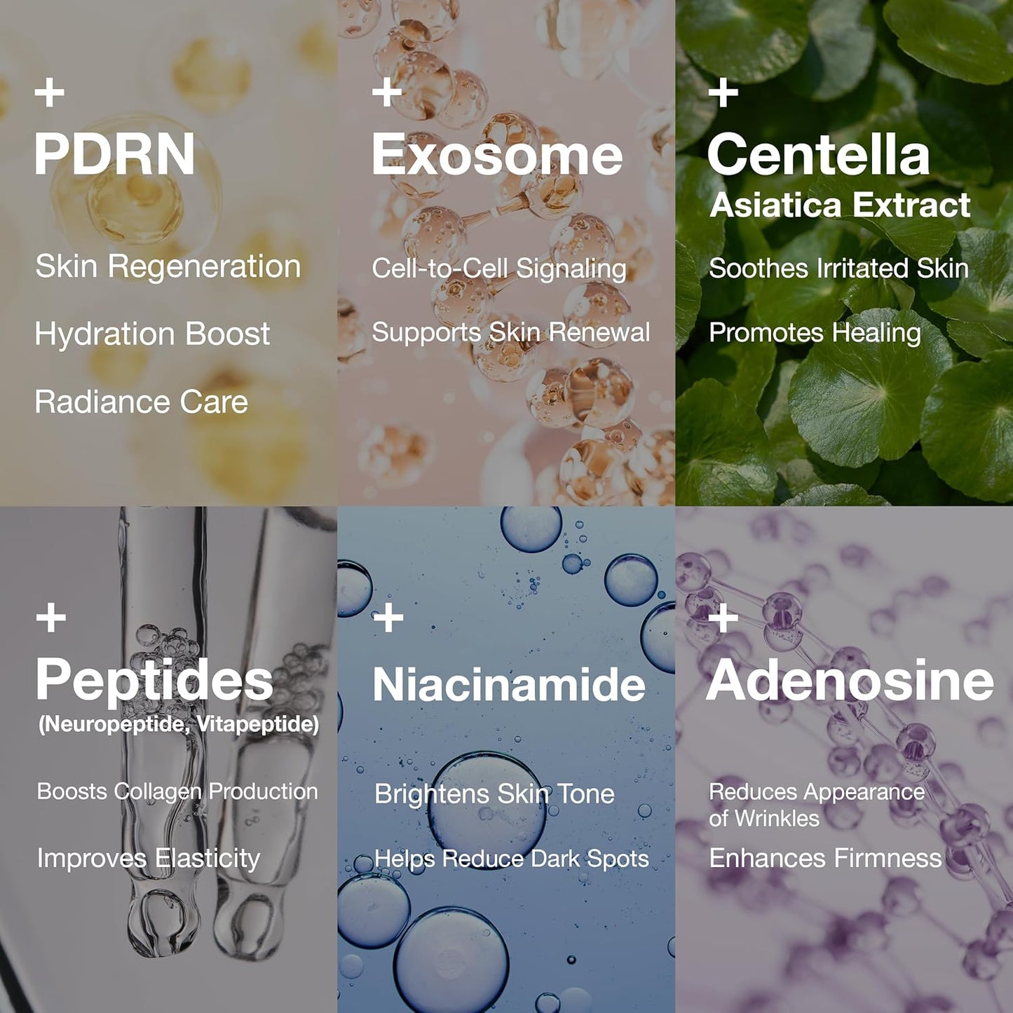 Rejuveon Pdrn Cream 20g