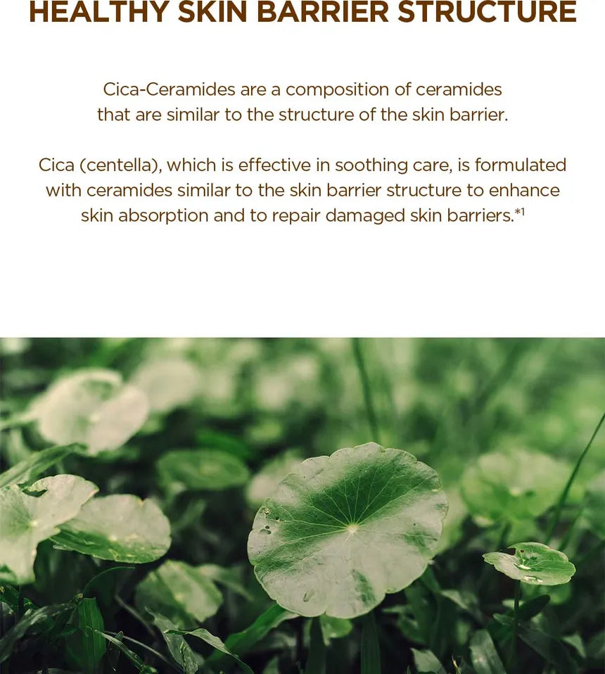 Centella  Madagascar Probio-Cica Intensive Ampoule - SKIN1004 50ml