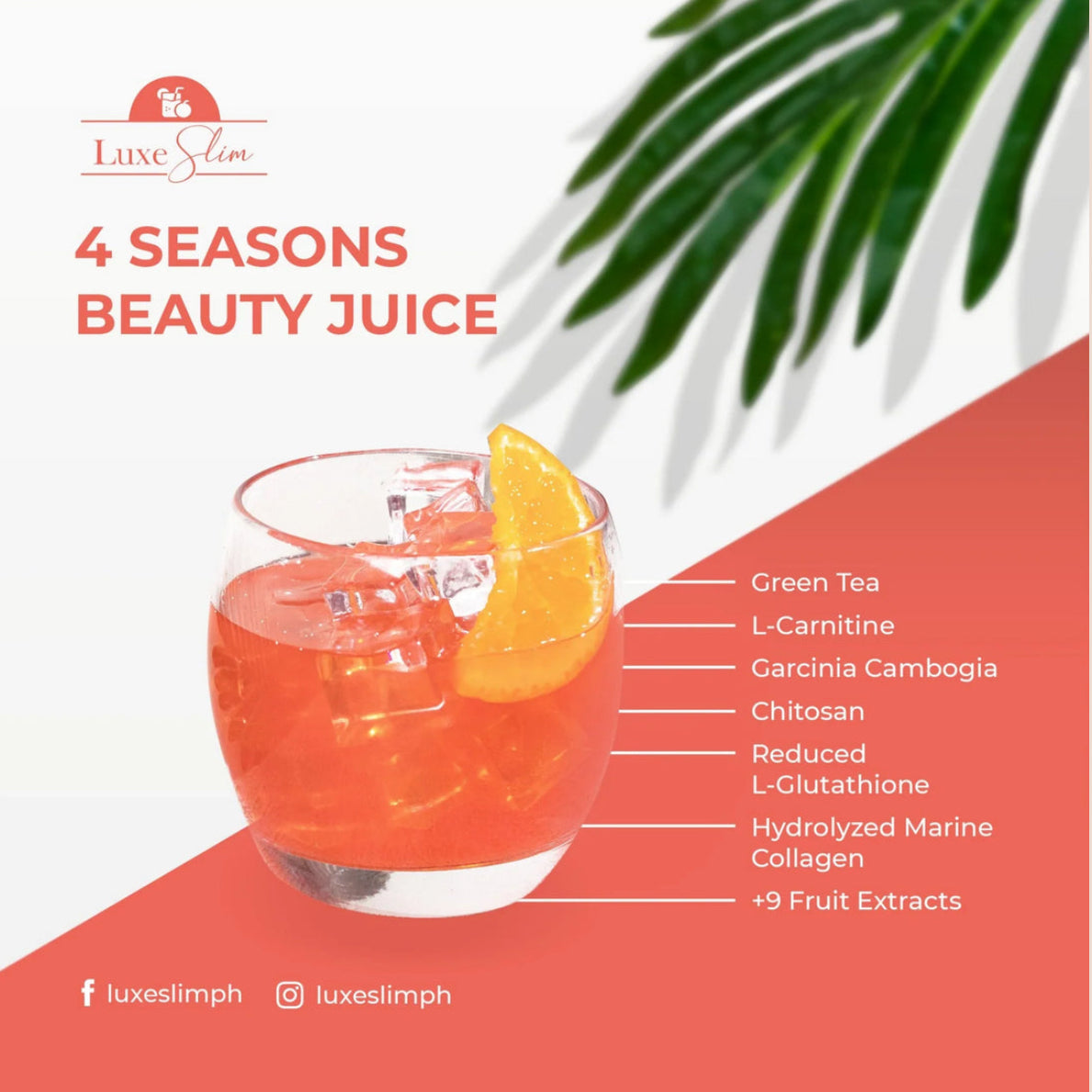 Luxe Slim 4 Seasons Beauty Drink | 500g