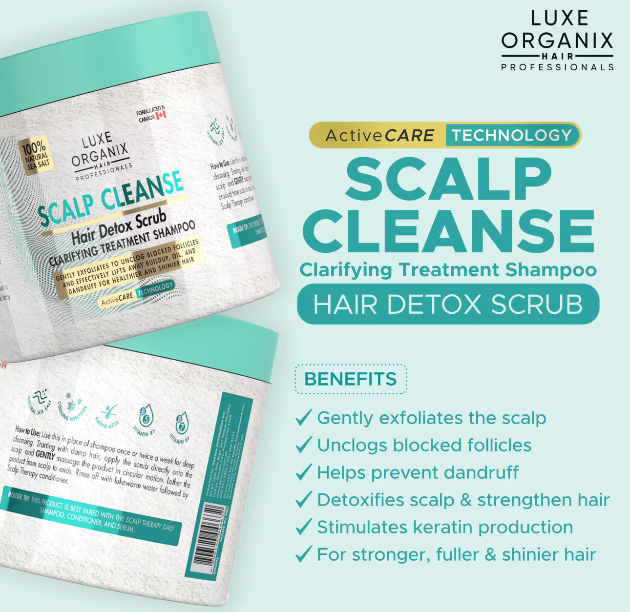 Luxe Organix Scalp Cleanse Hair Detox Scrub Clarifying Treatment Shampoo