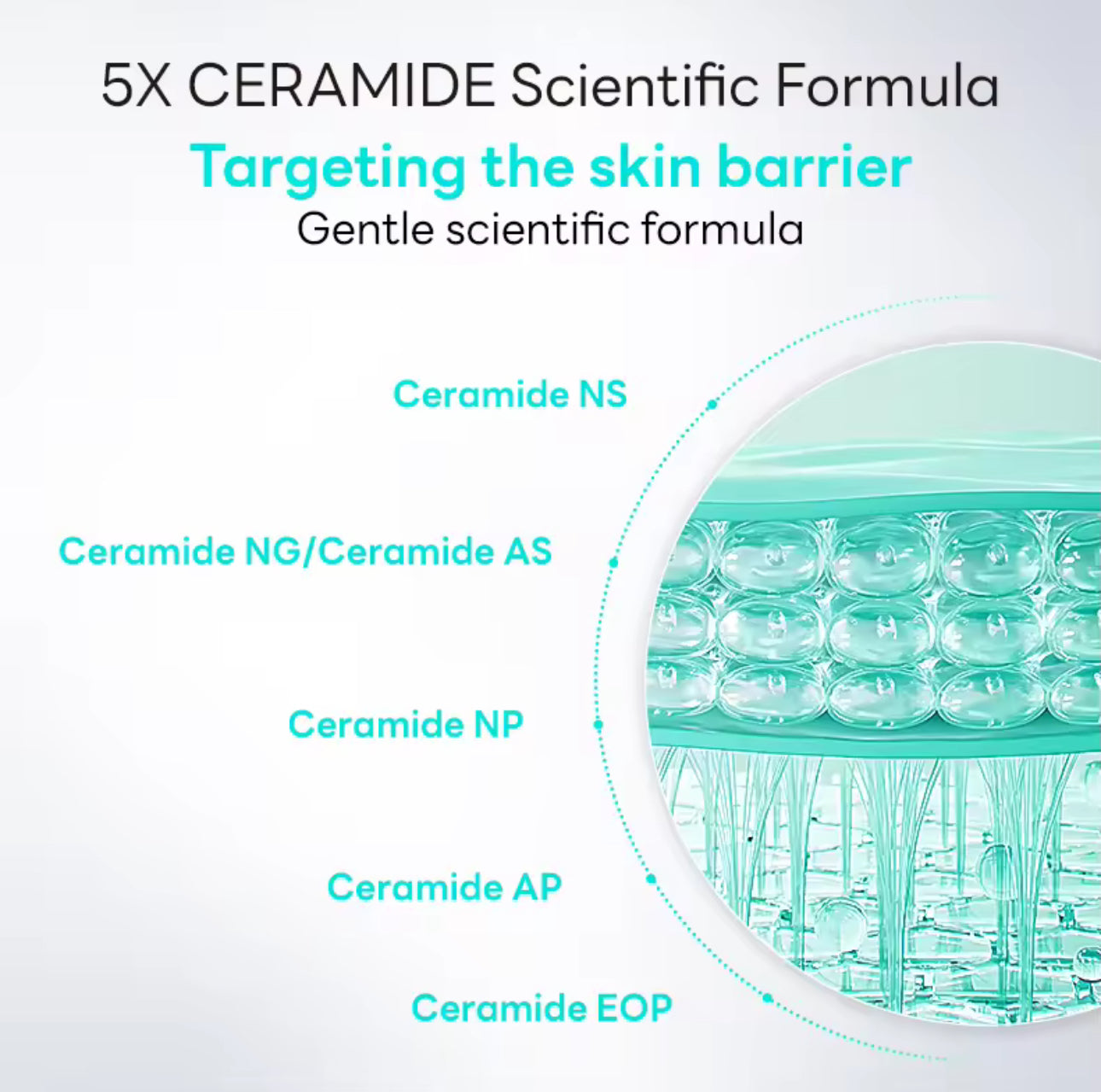 PAPA FEEL-5X CERAMIDE BARRIER REPAIR SERUM 20ml
