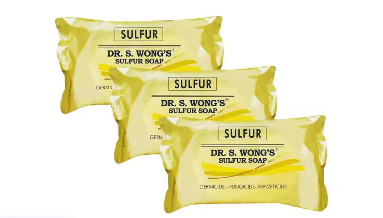 SULFUR SOAP DR S WONG 80g